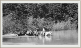 Fording the river